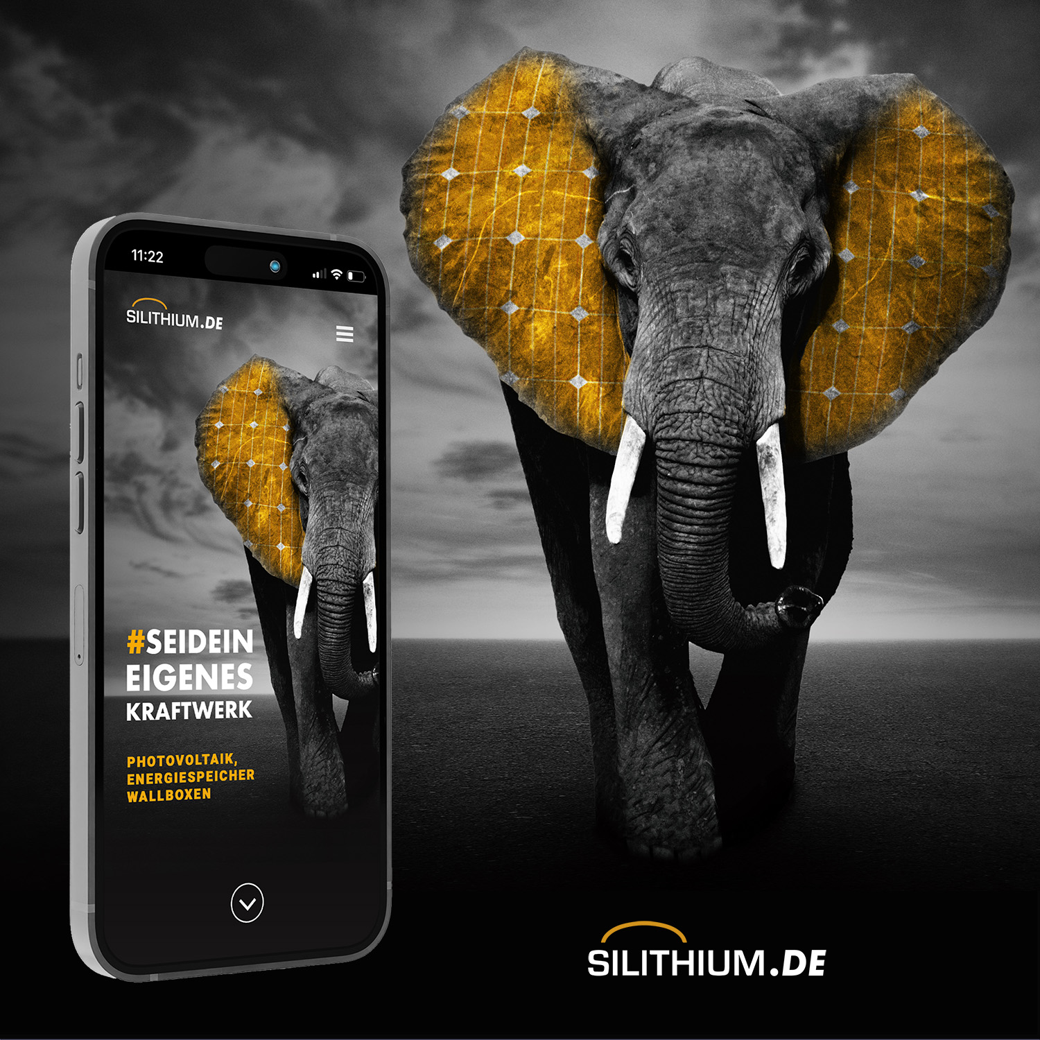 Silithium Case Study